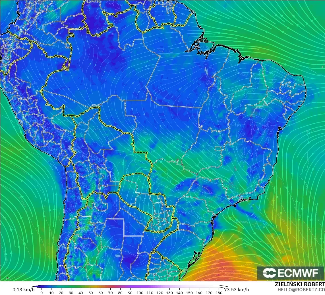 ECMWF IFS 0.25° model - Brasil, Angin 10 m