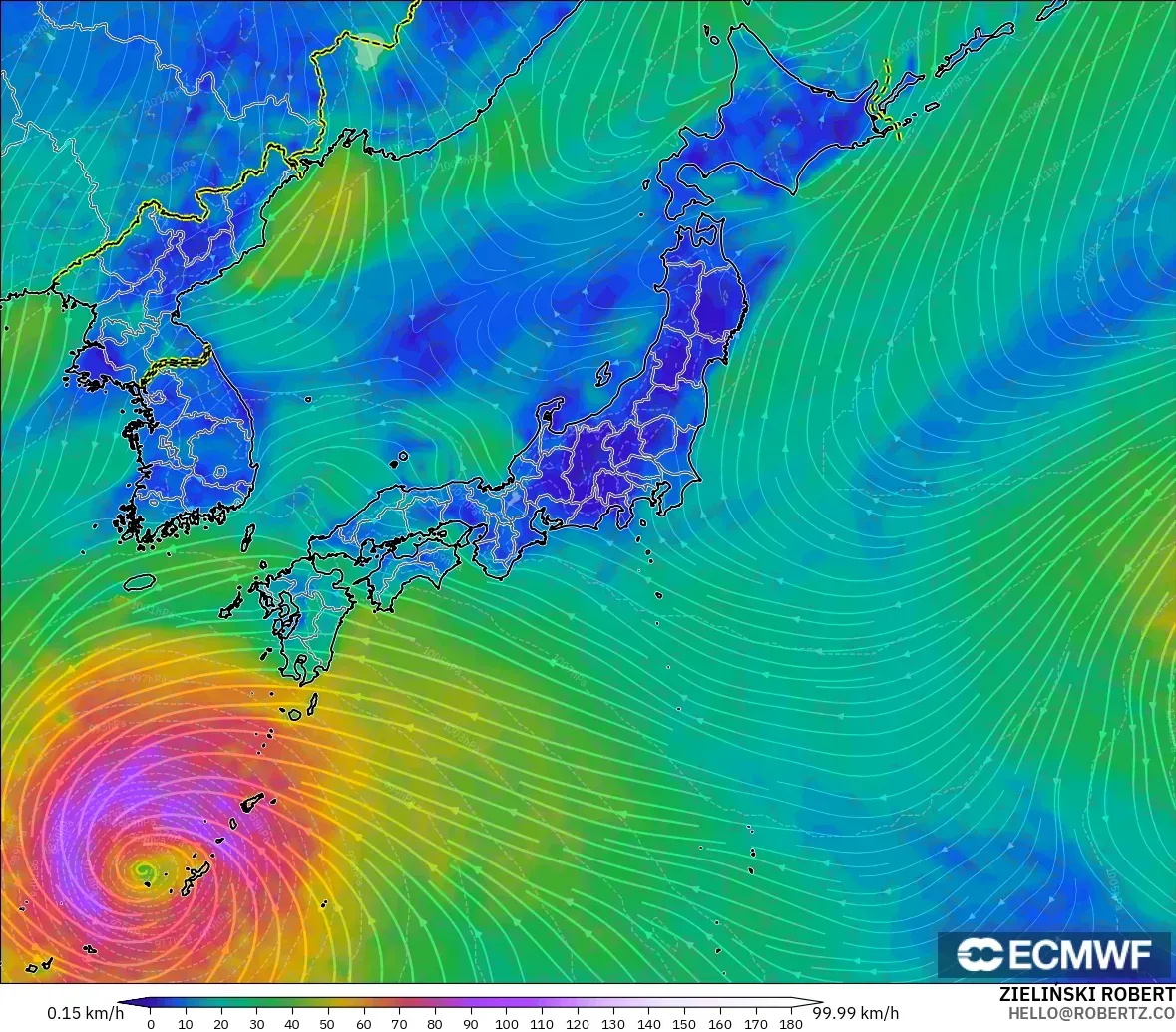 ECMWF IFS 0.25° model - Jepang, Angin 10 m