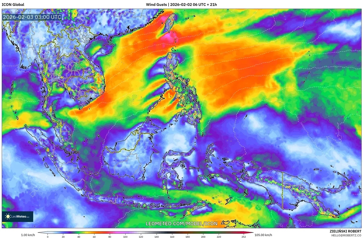 Angin Sedang di Indonesia pada 3 Februari 2026 (ICON)